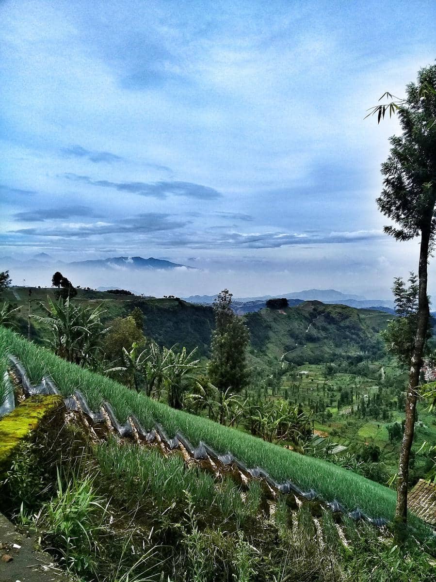 potret Terasering Panyaweuyan