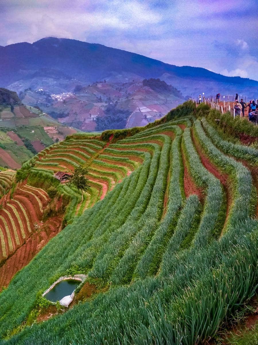 potret Terasering Panyaweuyan