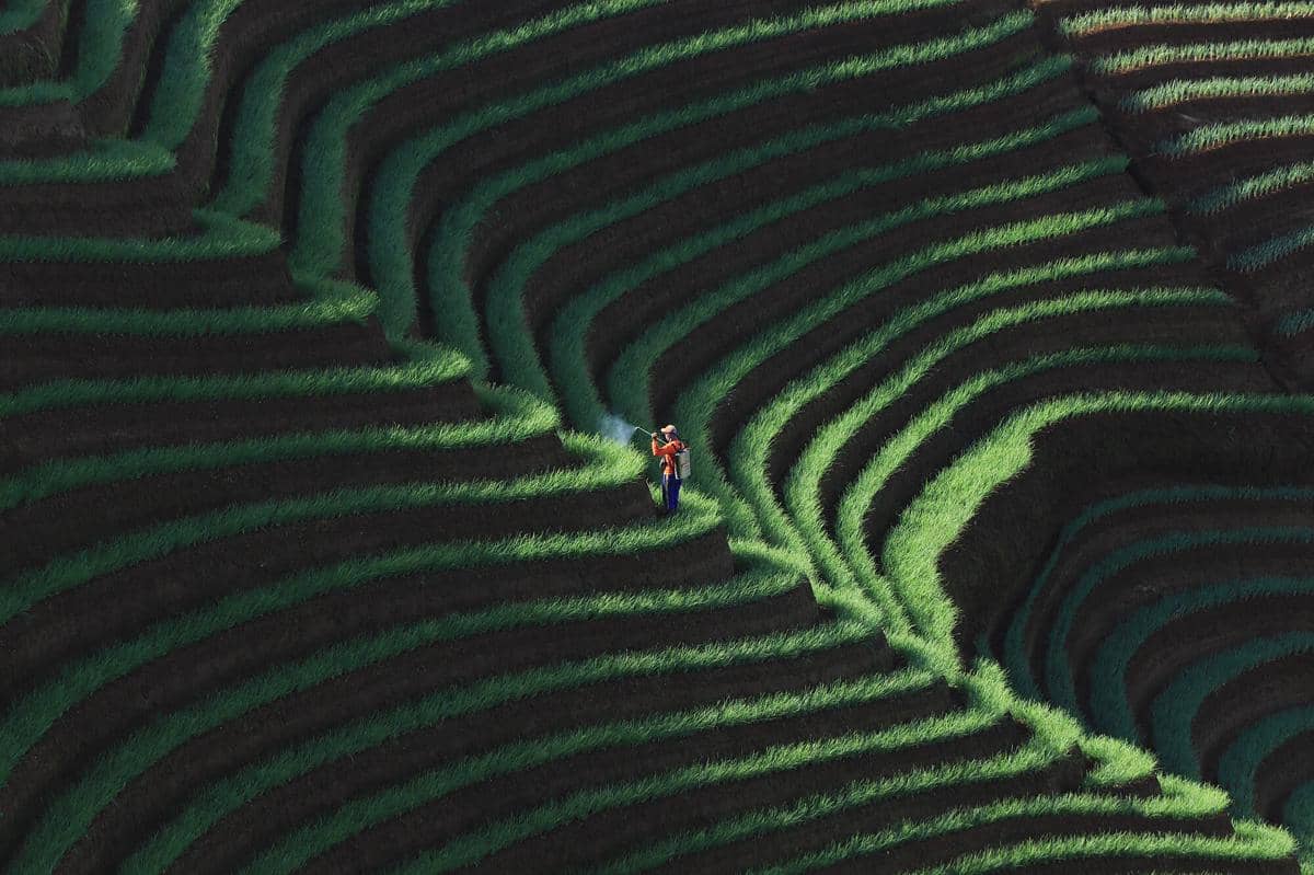 potret Terasering Panyaweuyan