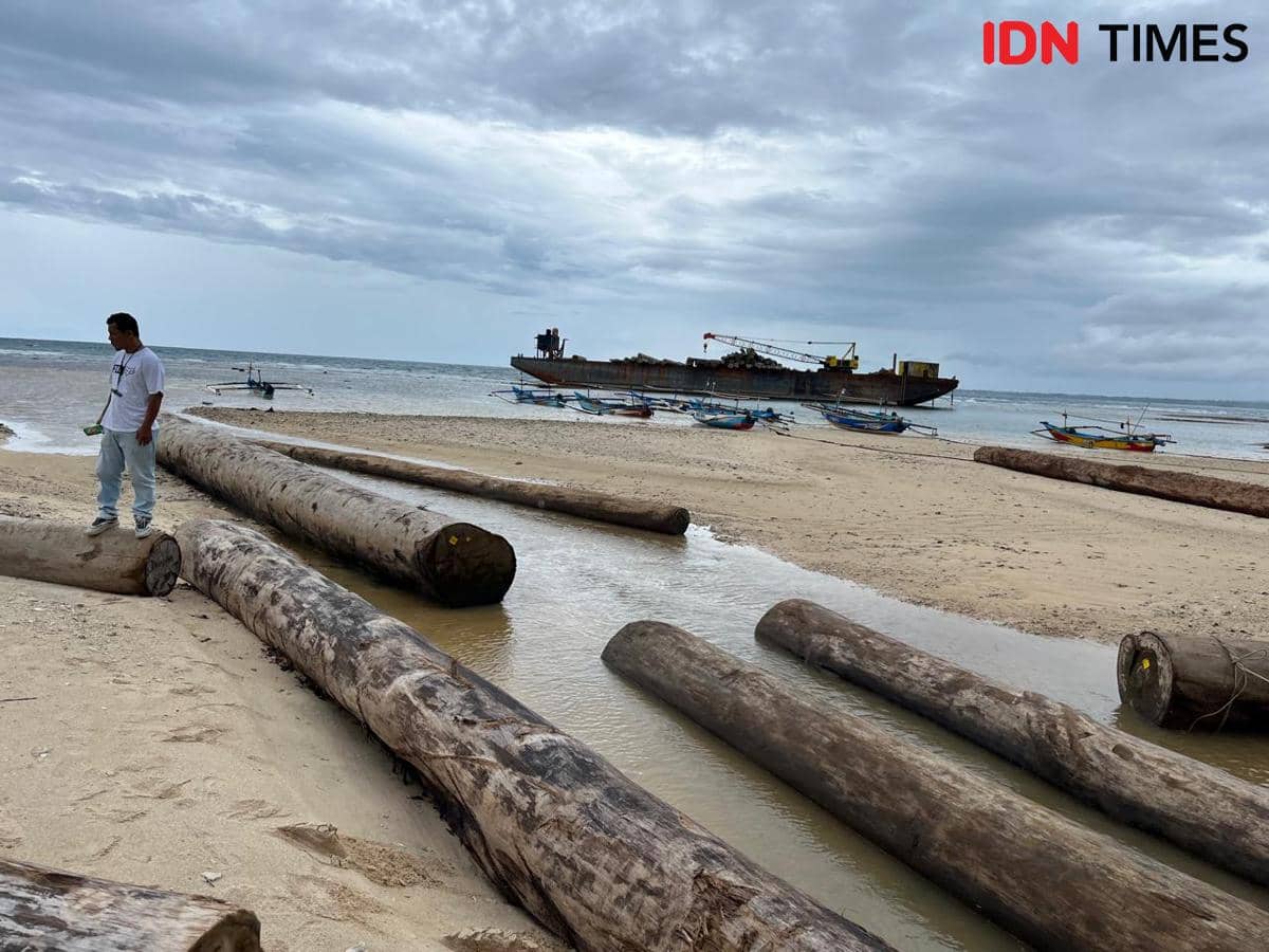 Penampakan kayu gelondongan tertempel stiker barcode kuning di Pantai Pesisir Barat.