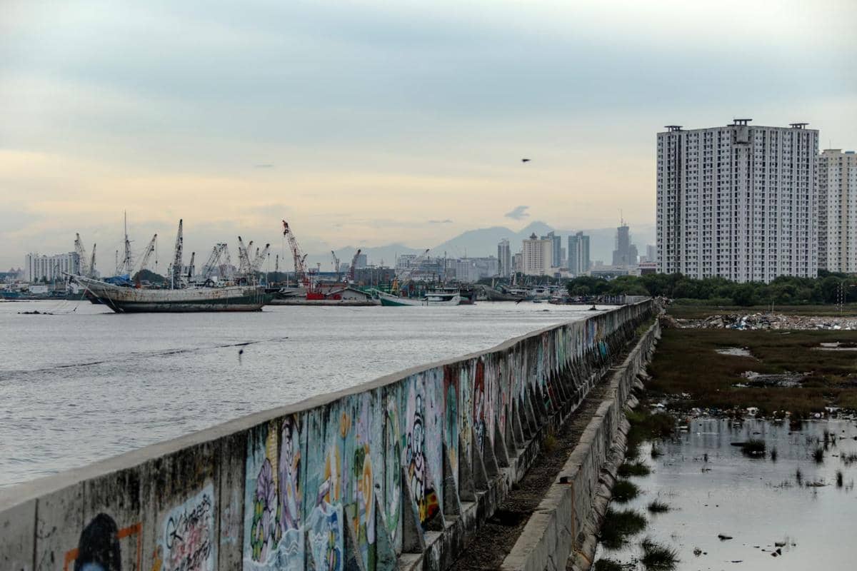 Pramono Anung meninjau tanggul di Muara Baru