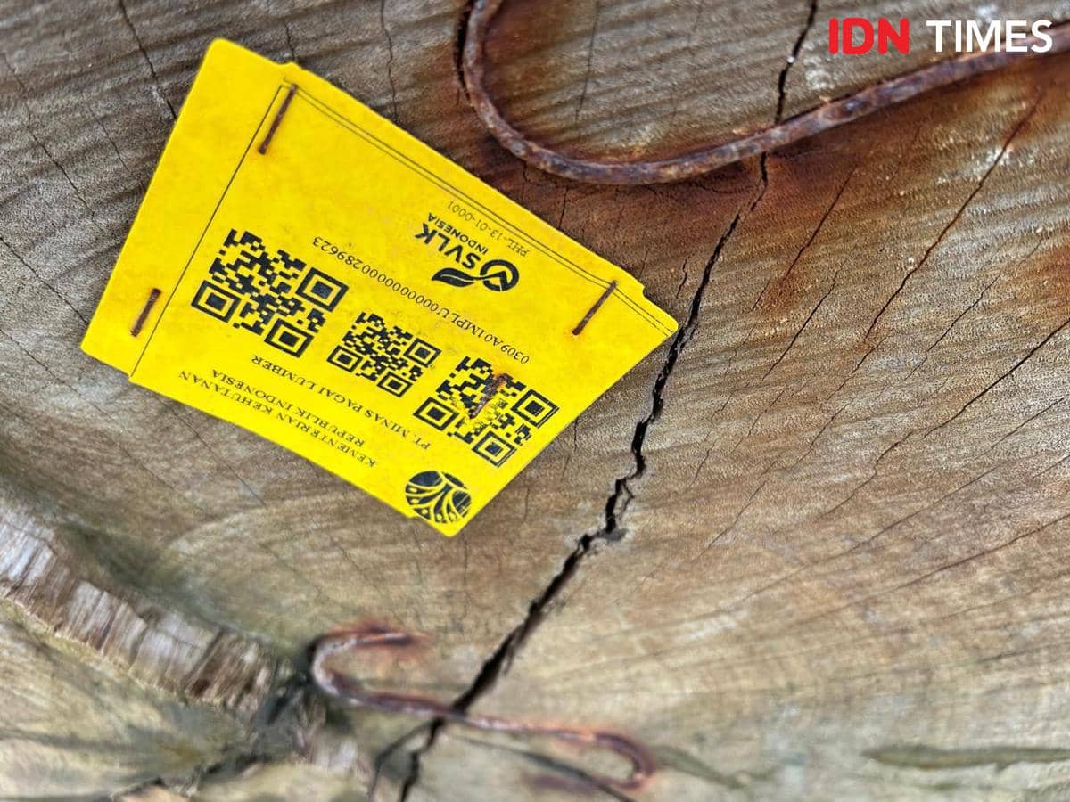 Penampakan kayu gelondongan tertempel stiker barcode kuning di Pantai Pesisir Barat.