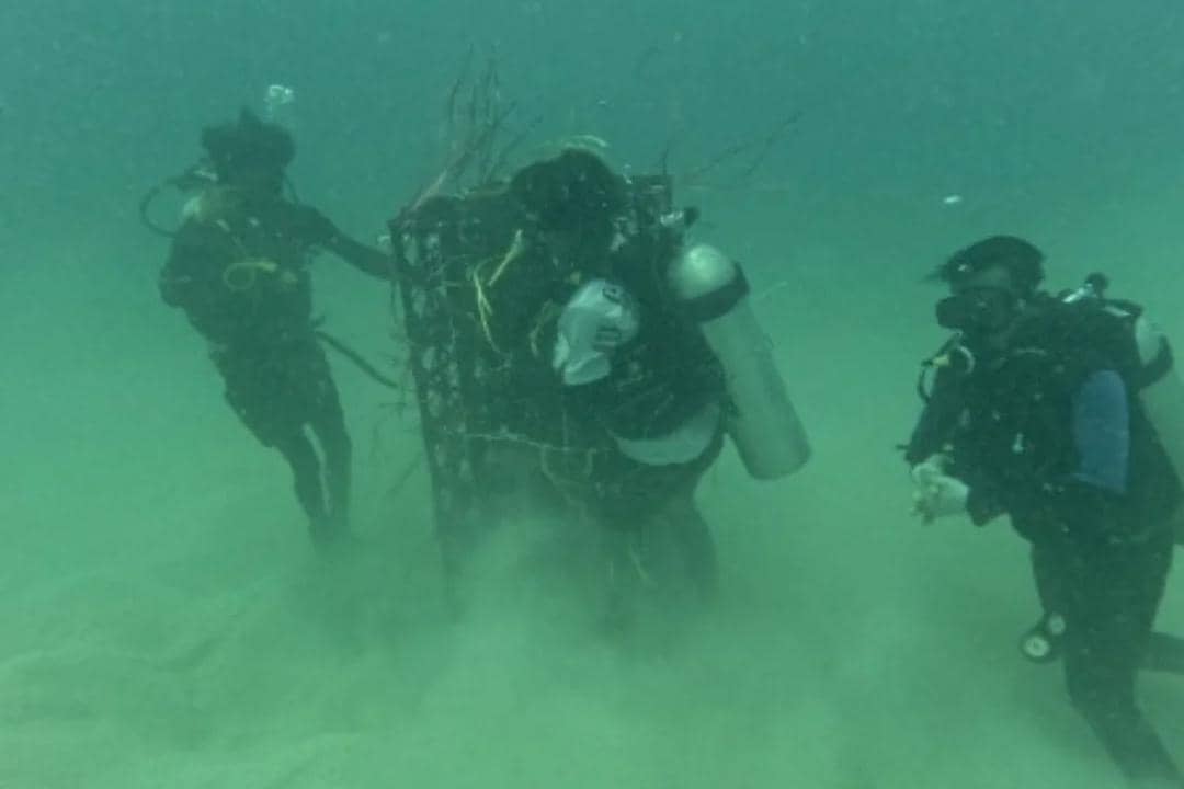 Pemprov Sulsel membangun 1.657 unit apartemen ikan yang disebar ke berbagai titik perairan selama tahun 2025. (Dok. Pemprov Sulsel)