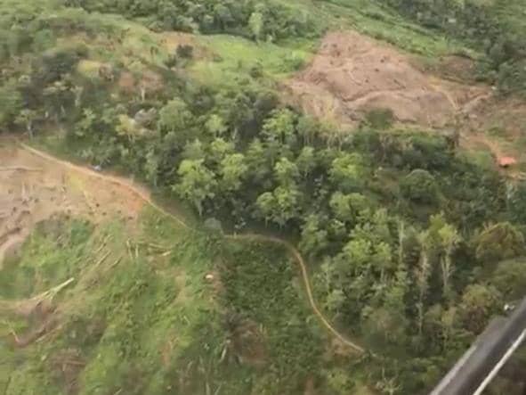 Potret pantauan udara lokasi dugaan pembalakan liar di kawasan hutan Pesisir Barat (Pesibar).