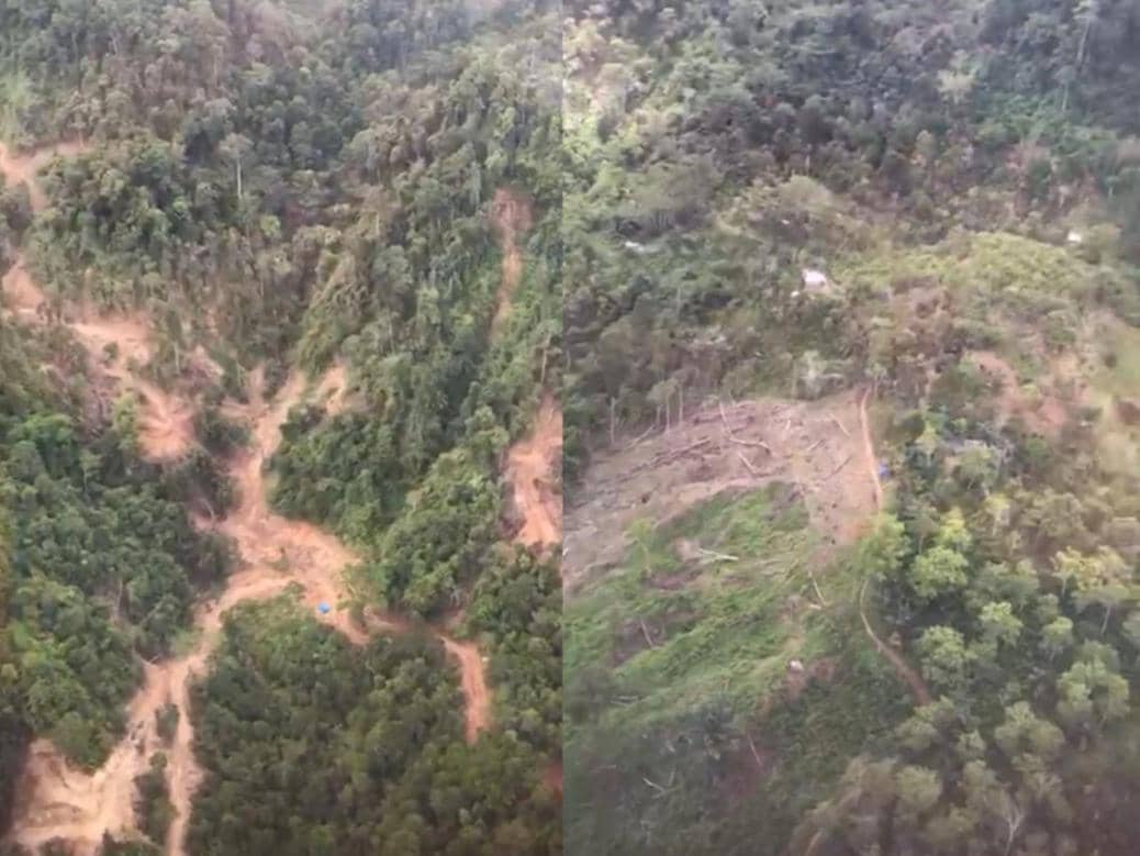 Potret pantauan udara lokasi dugaan pembalakan liar di kawasan hutan Pesisir Barat (Pesibar).