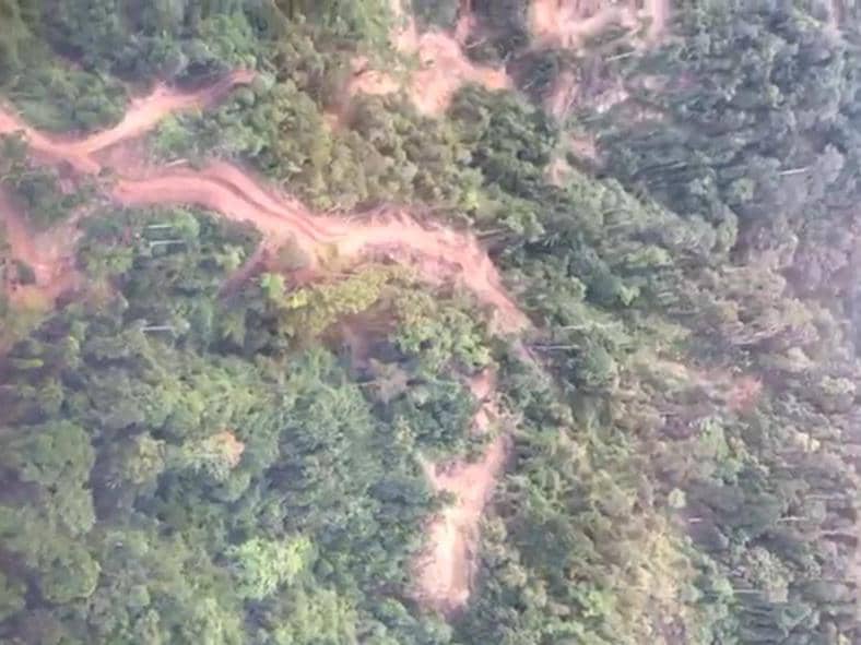 Potret pantauan udara lokasi dugaan pembalakan liar di kawasan hutan Pesisir Barat (Pesibar).