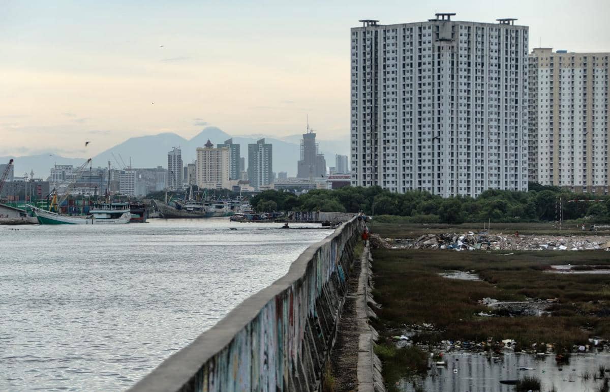 Pramono Anung meninjau tanggul di Muara Baru