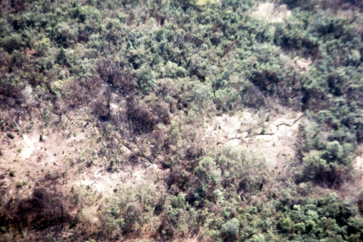 Parit Vietkong yang terdampak akibat penyemprotan "Operasi Ranch Hand" yang dilakukan Angkatan Udara AS.