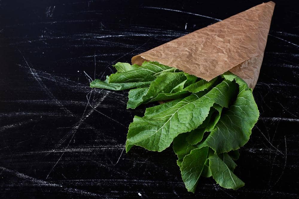 ilustrasi sayur dibungkus dengan kertas