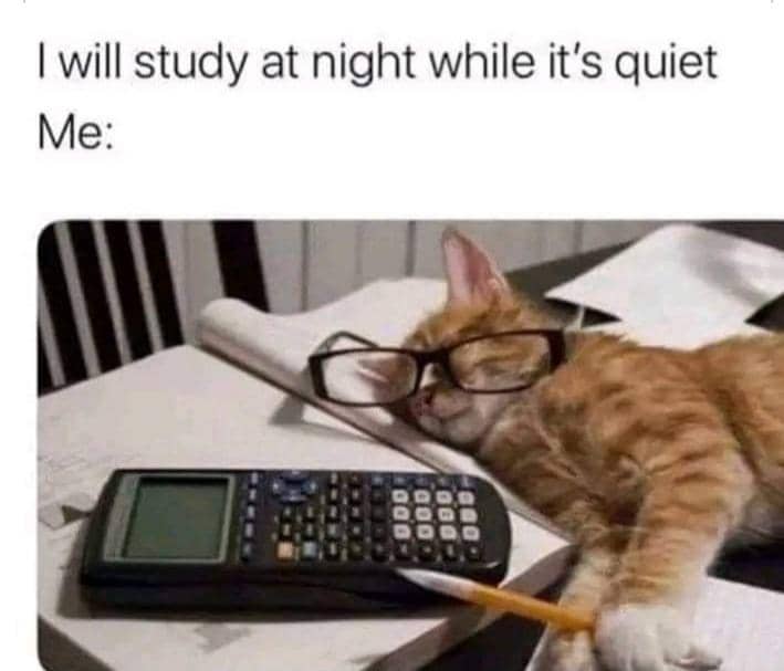 meme kucing tentang belajar