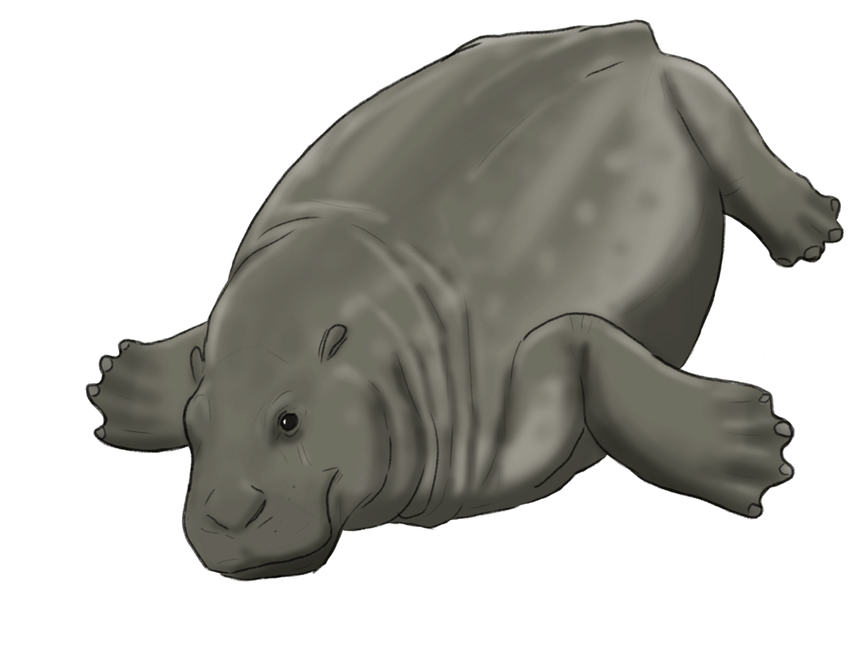 Ilustrasi Desmostylia