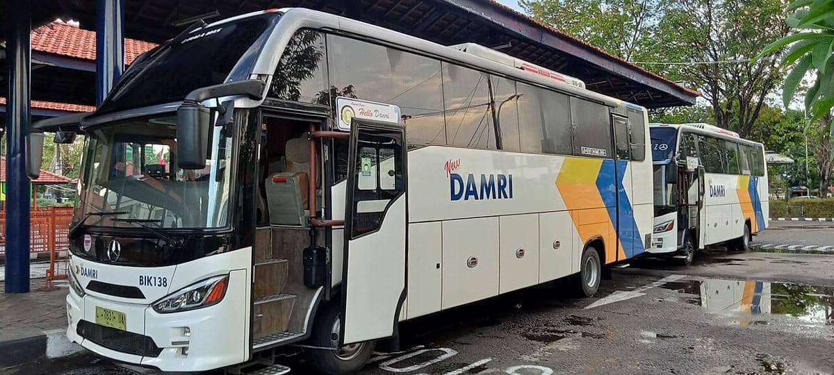 ilustrasi bus bandara 