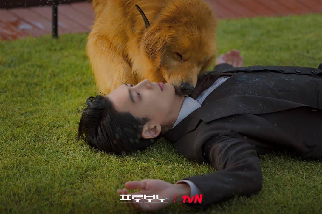 still cut drama Pro Bono