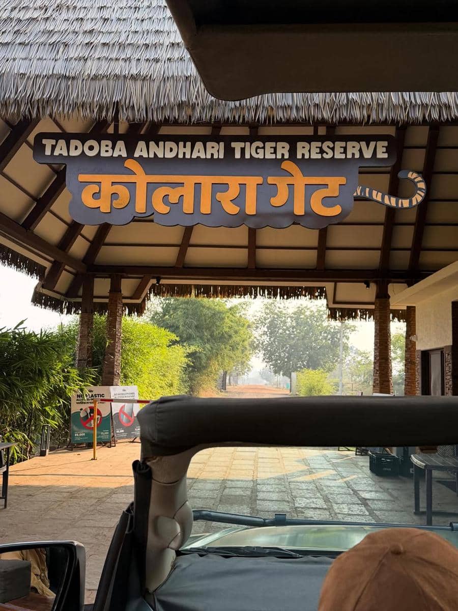 unggahan Malavika Mohanan