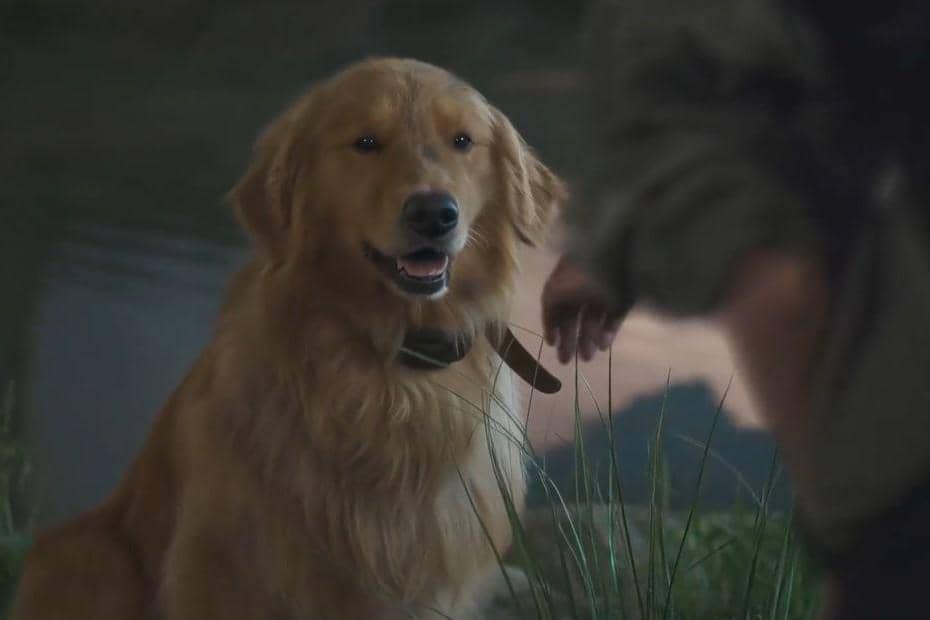 cuplikan drama Pro Bono