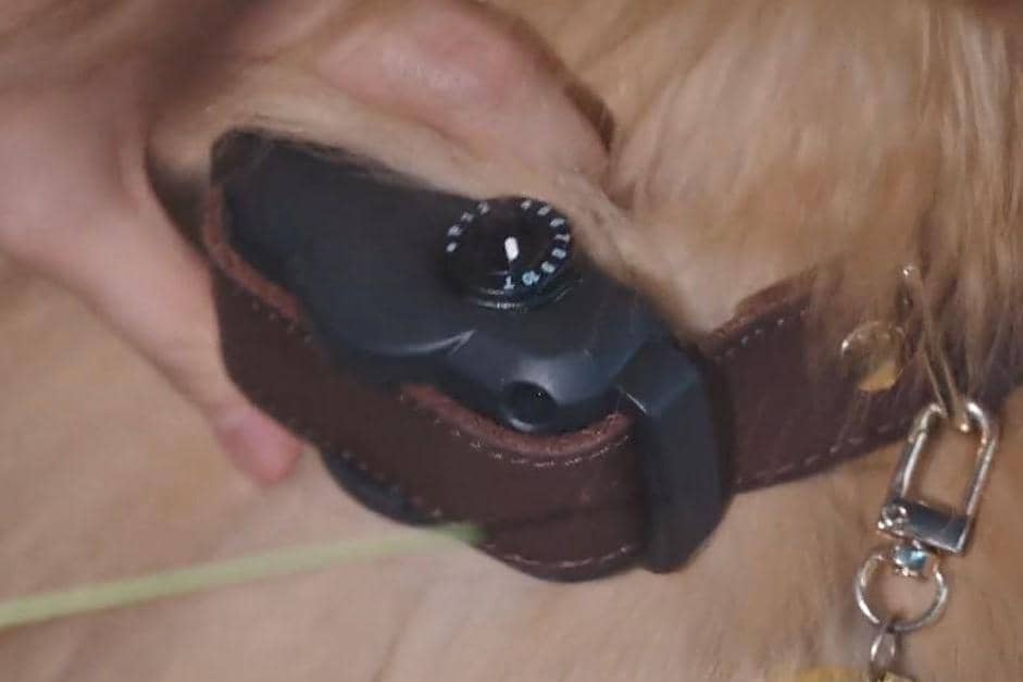 cuplikan drama Pro Bono