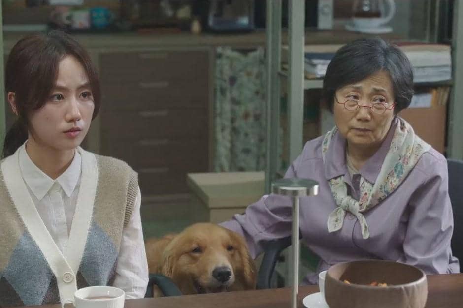 cuplikan drama Pro Bono