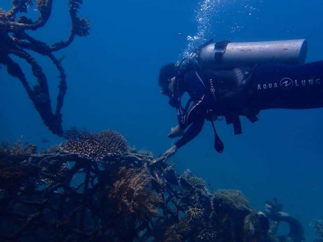biorock di Pemuteran, Buleleng