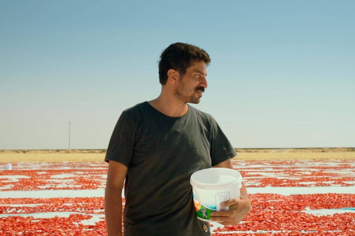 One of Those Days When Hemme Dies