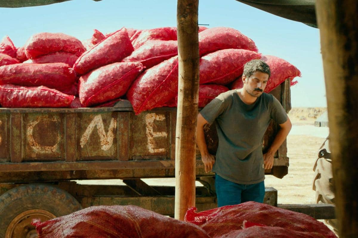 One of Those Days When Hemme Dies