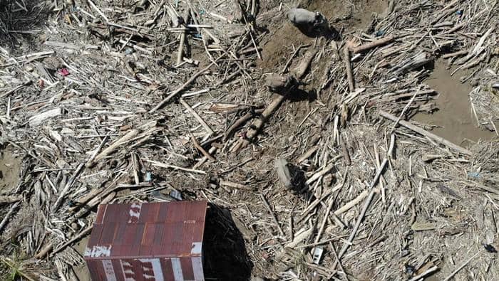 Gajah dikerahkan membersihkan puing-puing sisa banjir di Pidie Jaya (dok.BKSDA Aceh)