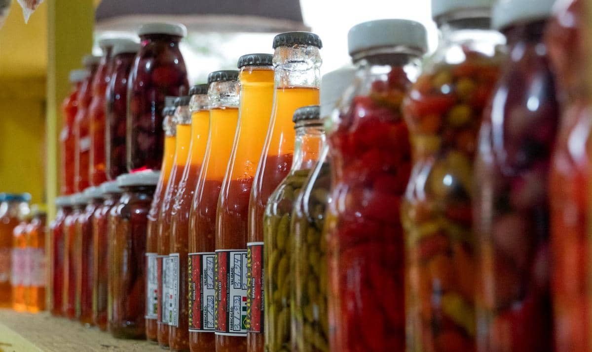 ilustrasi makanan fermentasi