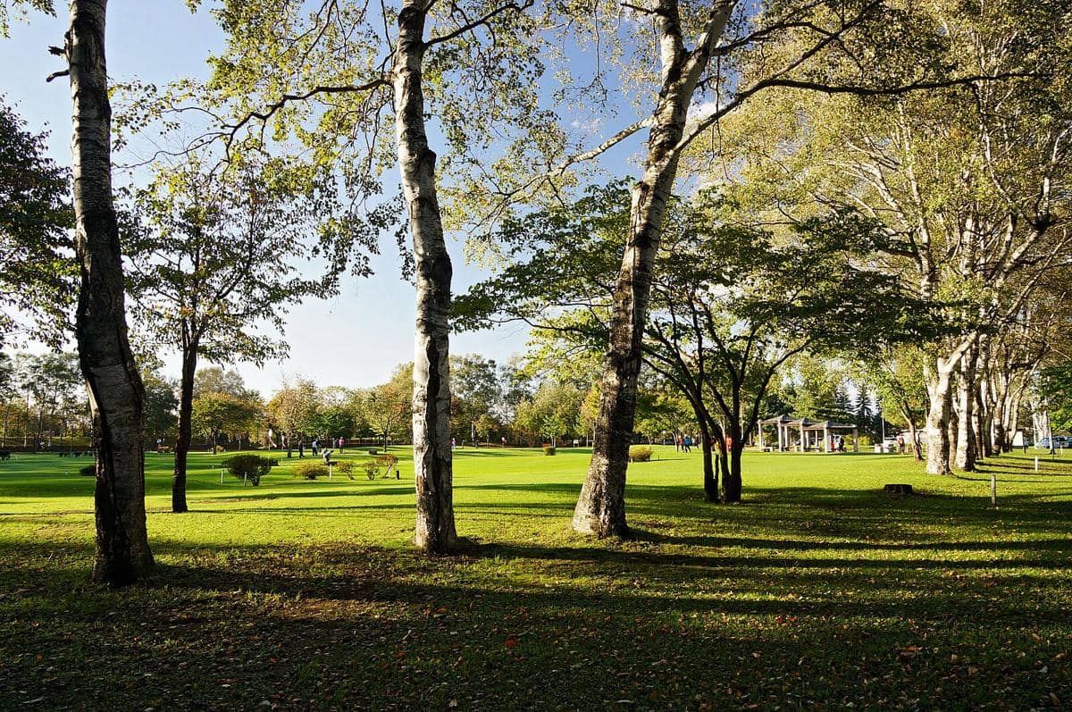 potret Taman Midorigaoka