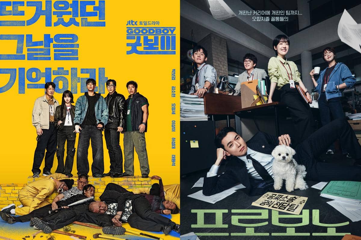 poster drama Good Boy | poster drama Pro Bono