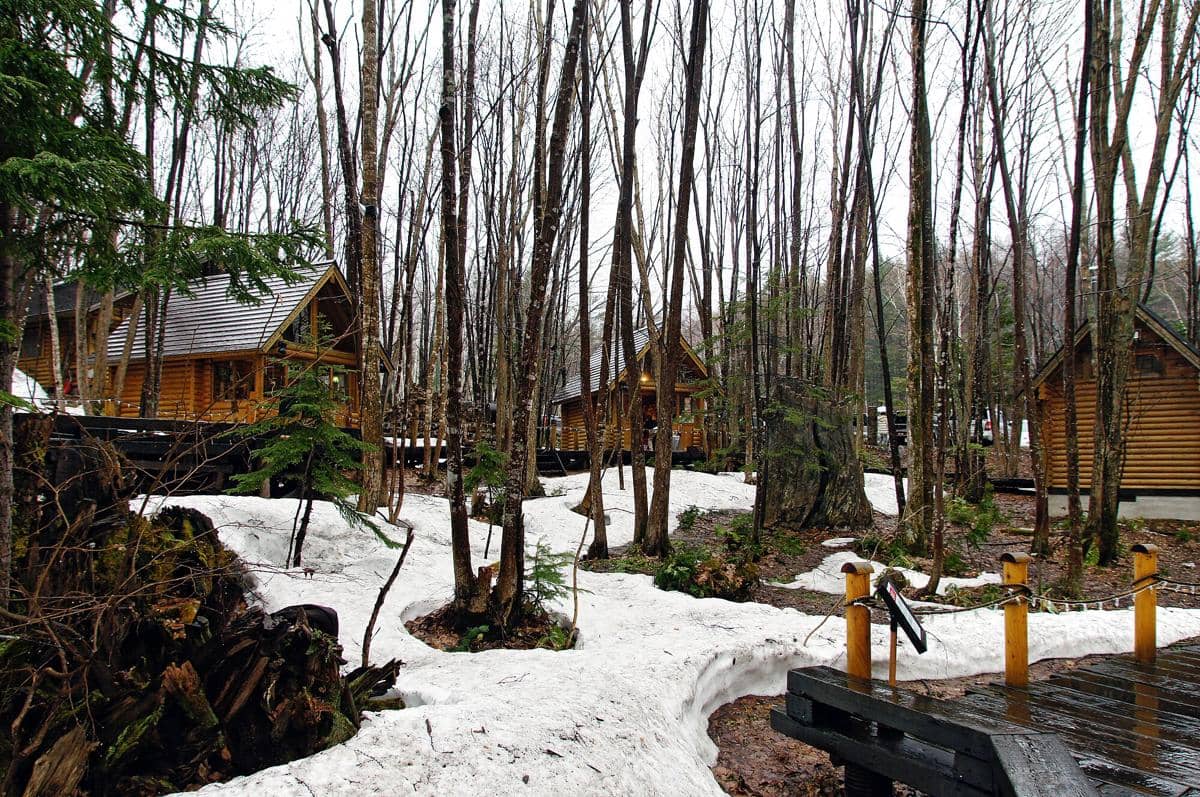 potret Ningle Terrace