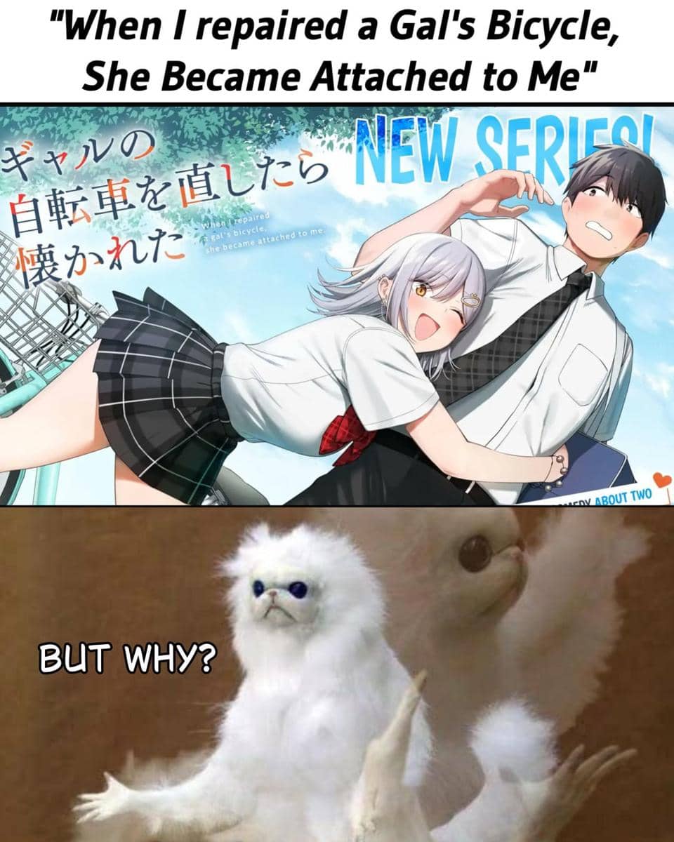 meme anime tentang sepeda