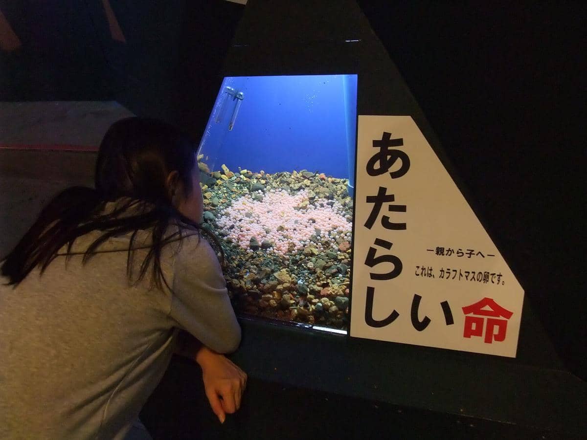 potret Otaru Aquarium