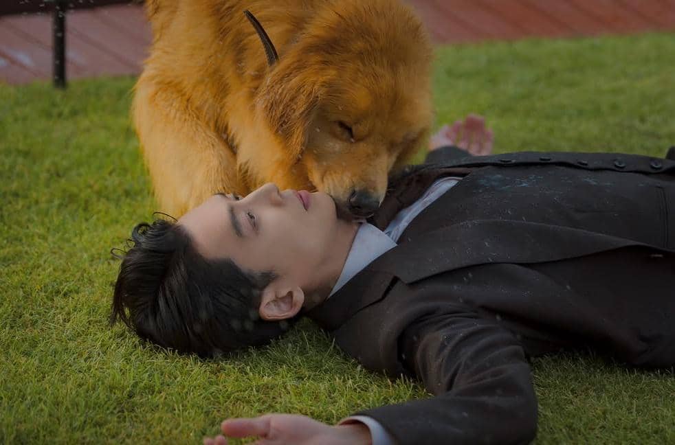 still cut drama Korea Pro Bono