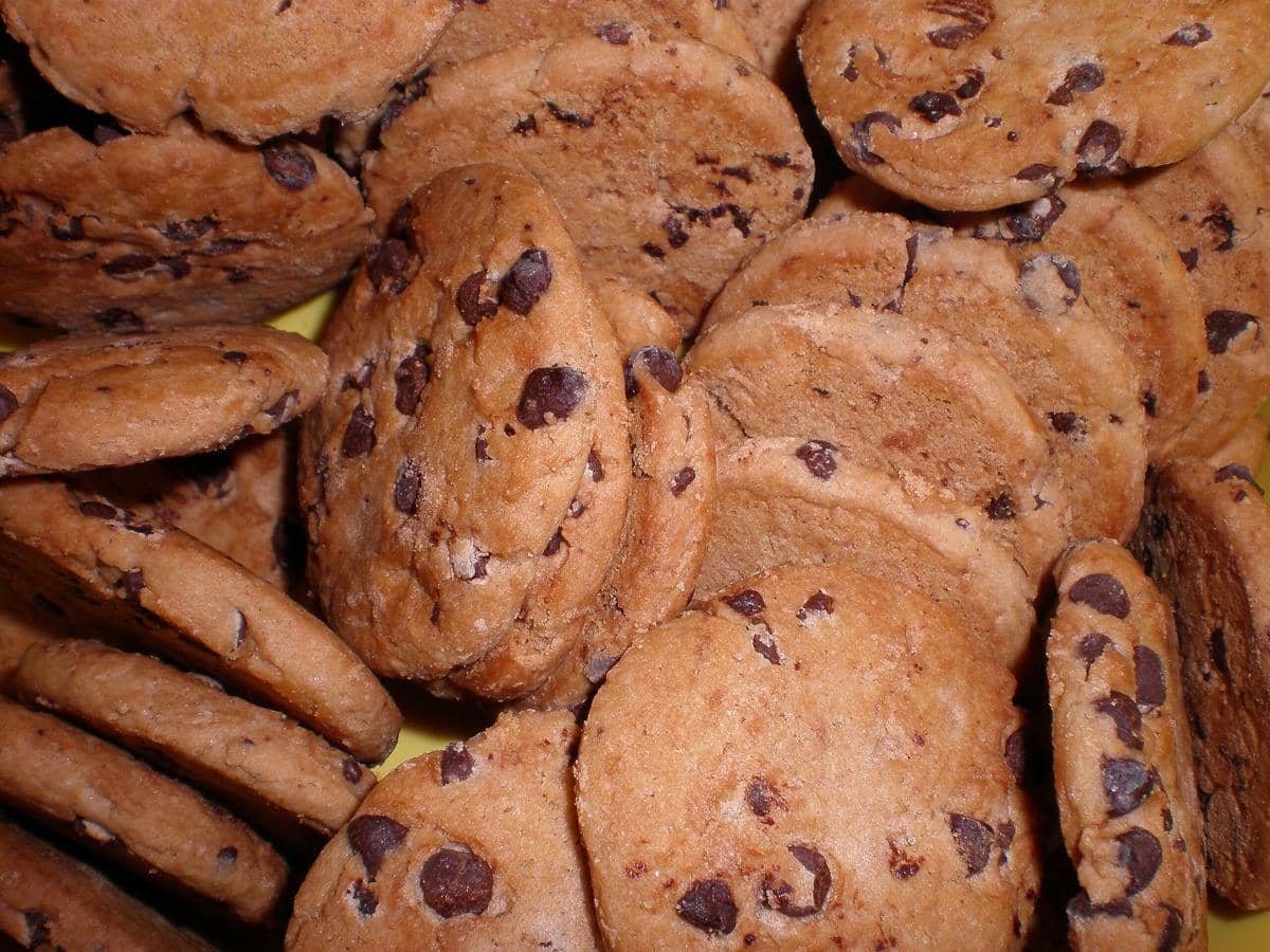 ilustrasi choco chip cookies