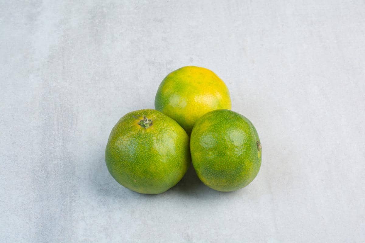 ilustrasi jeruk limau
