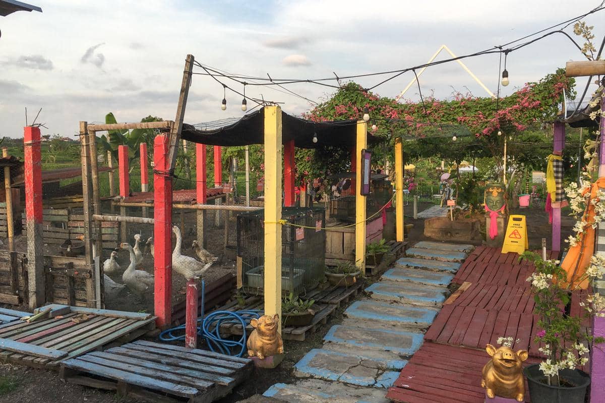 suasana di Agrowisata Tupai Emas Denpasar