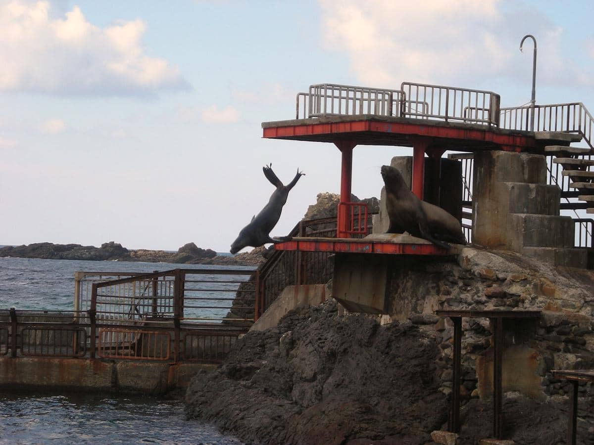 potret Otaru Aquarium