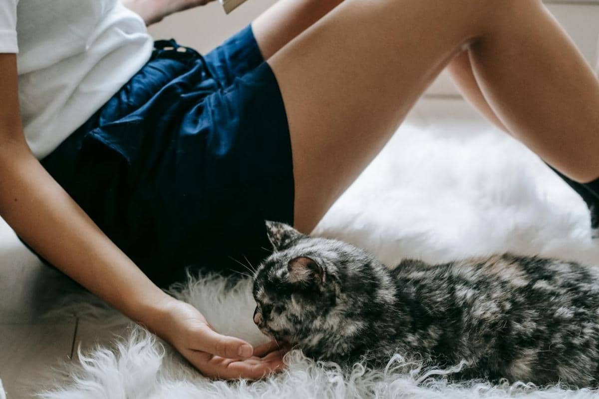 ilustrasi mengapa karpet yang terlalu kecil membuat ruang tamu terlihat 'murah'?