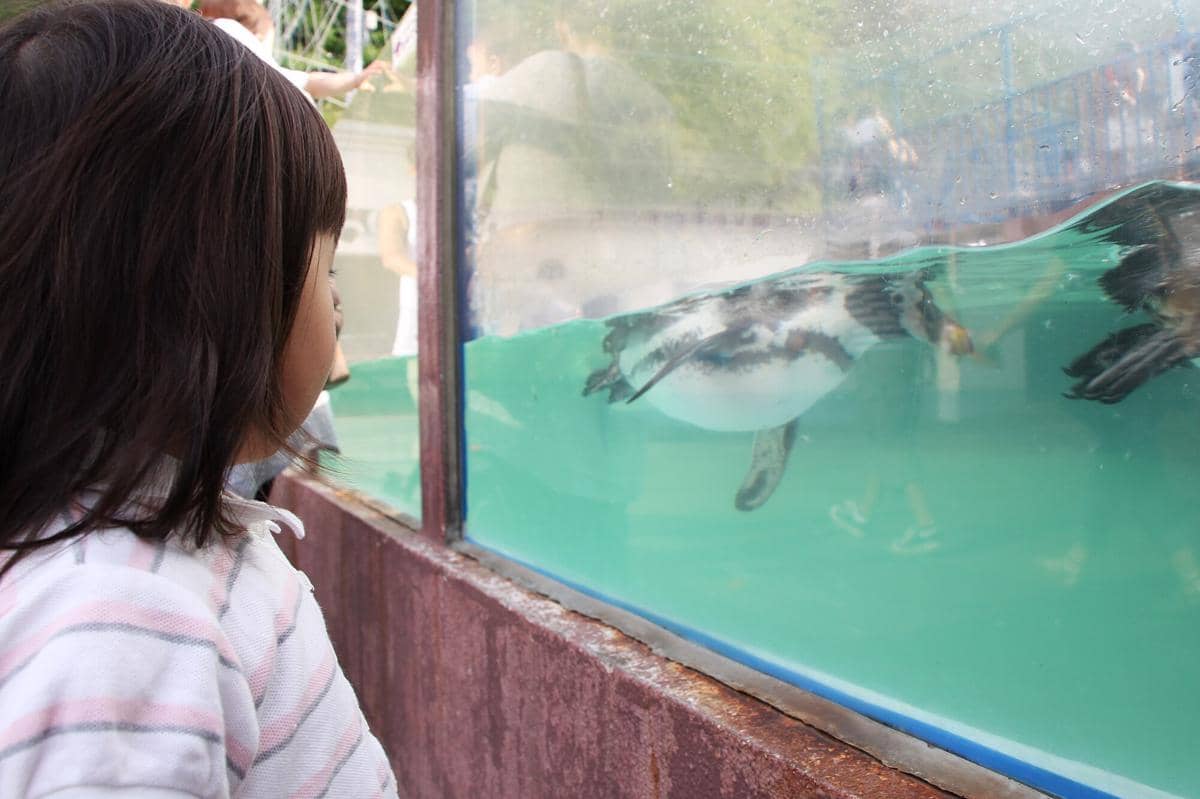 potret Otaru Aquarium