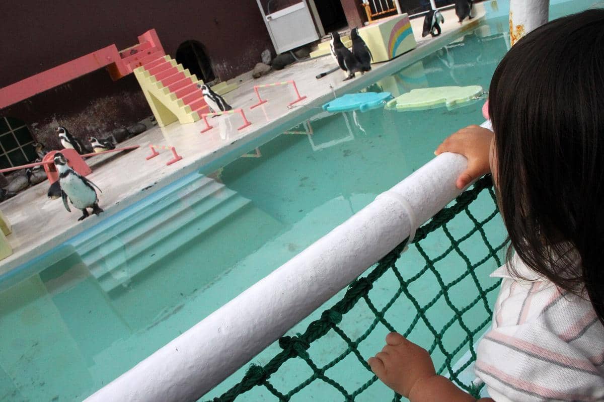 potret Otaru Aquarium