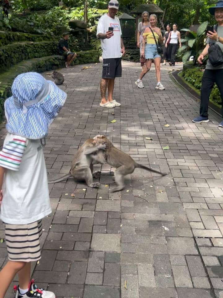 Acha Septriasa di Monkey Forest Ubud.