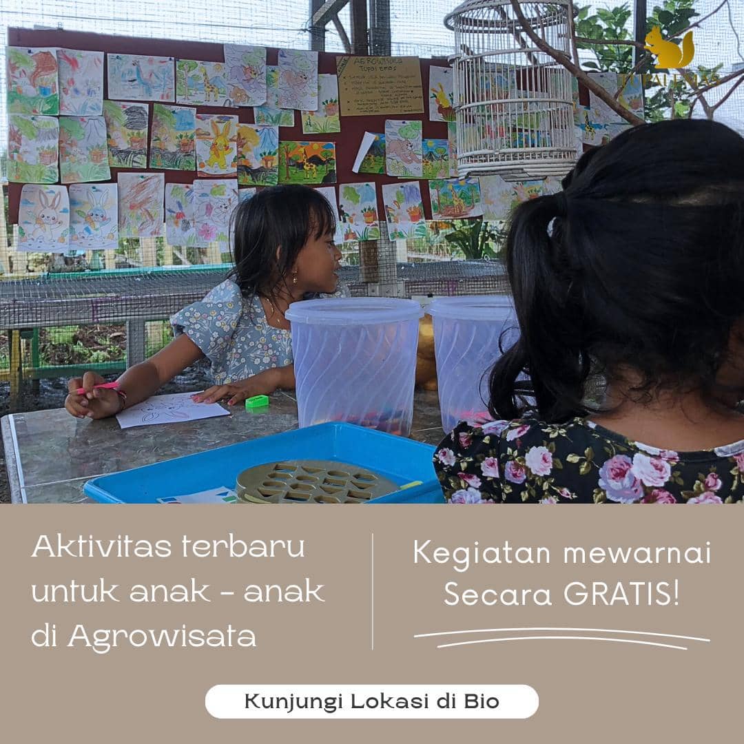 salah satu kegiatan anak-anak di Agrowisata Tupai Emas Denpasar 
