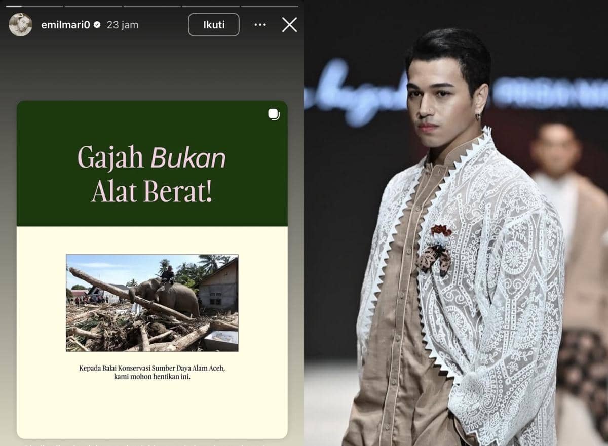 sederet artis protes gajah diturunkan bantu bersihkan puing banjir Aceh