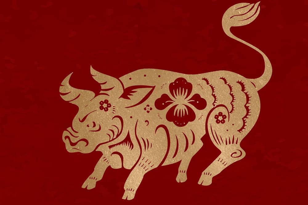 Ramalan Shio Kerbau di 2026: Karier, Keuangan, dan Asmara