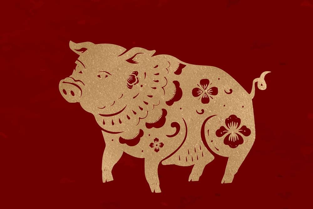 Ramalan Shio Babi di Tahun 2026