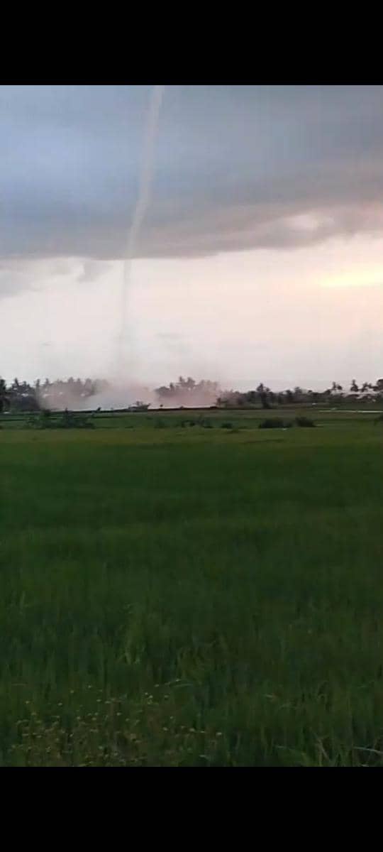 Angin Puting Beliung Terjang Jembrana