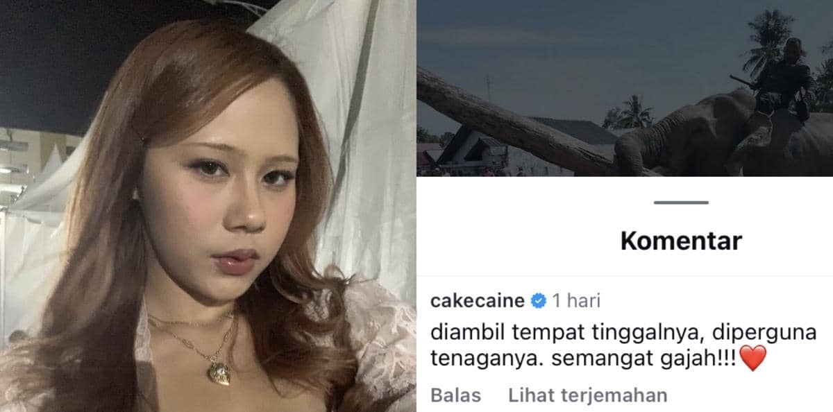 sederet artis protes gajah diturunkan bantu bersihkan puing banjir Aceh