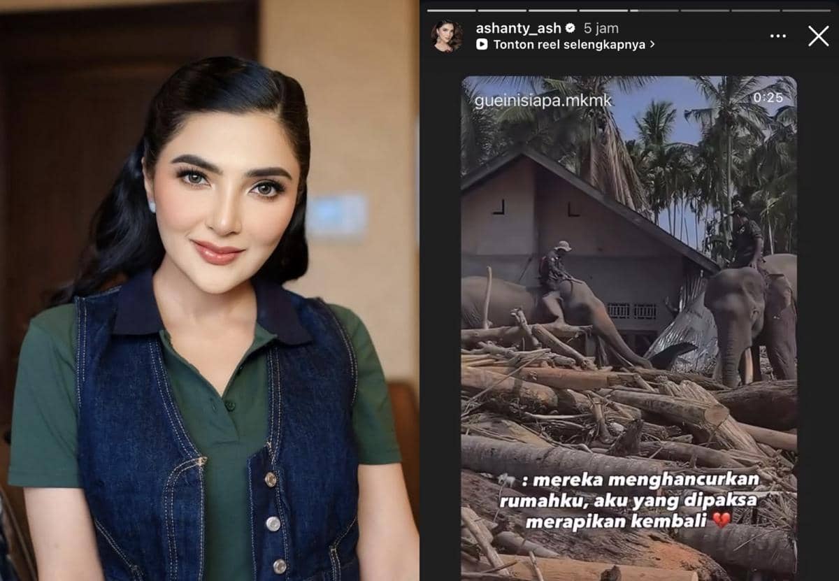 sederet artis protes gajah diturunkan bantu bersihkan puing banjir Aceh