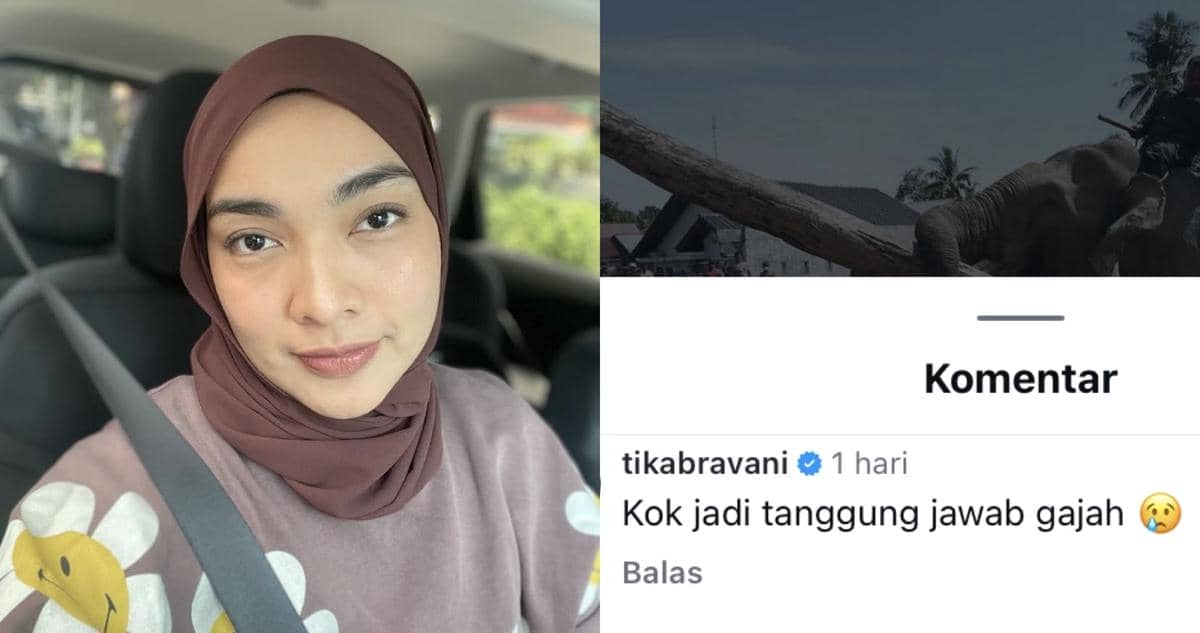 sederet artis protes gajah diturunkan bantu bersihkan puing banjir Aceh