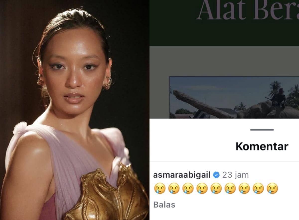 sederet artis protes gajah diturunkan bantu bersihkan puing banjir Aceh