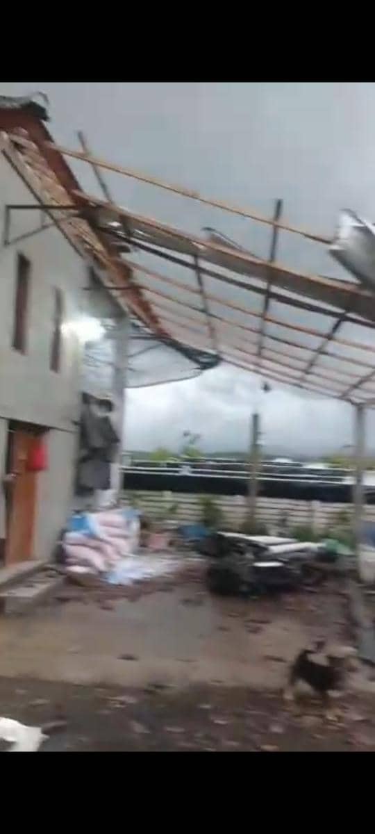 Angin Puting Beliung Terjang Jembrana, 3 Bangunan Rusak